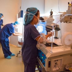 Embryology All Staff