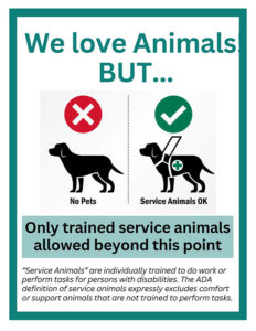 we love animals, but