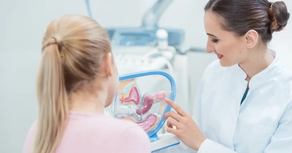 Fertility clinic doctor showing a female reproductive anatomy model to a patient during a consultation